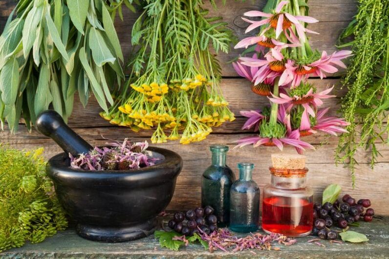 plante medicinale pentru prostatita